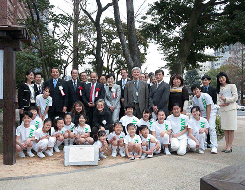 The hibaku camphor tree near the moat at Hiroshima Castle. Approximately 1.1km from the hypocenter.
