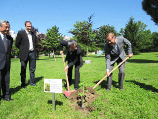 Planting of the atomic bomb survivor tree (gingko) together with Sarajevo Mayor (right)