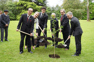 Planting ceremony of a sapling of an atomic bomb survivor tree in Guernica-Lumo City