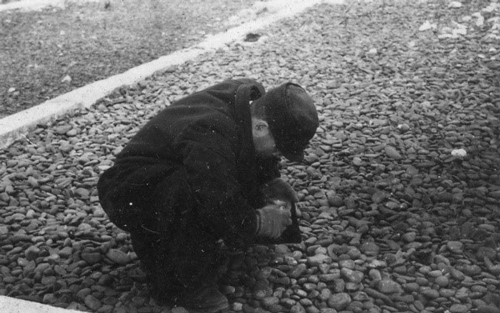 Mr. Nagaoka gazing at the pea gravel at Hiroshima Gokoku Shrine