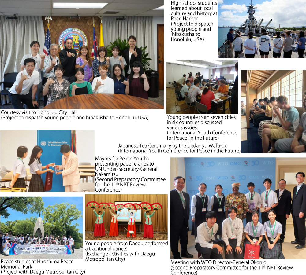 A Wide Variety of International Peace Exchanges by Younger Generations
