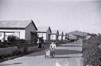 基町の公営住宅（1947年（昭和22年）8月～10月17日）／撮影 菊池俊吉