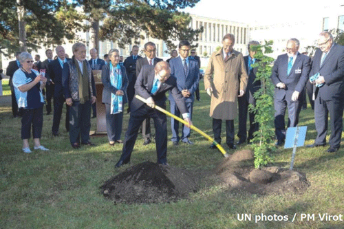 潘基文国連事務総長による植樹　（写真提供：UN photos/PM Virot）