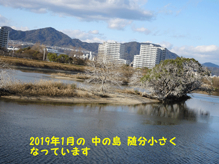 中之島 2019年1月